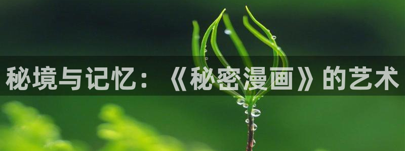 漫蛙漫画绿色携像：秘境与记忆：《秘密漫画》的艺术